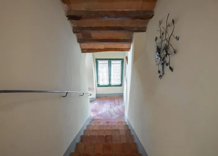 Bio Fattoria Bacio Casa di campagna Certaldo