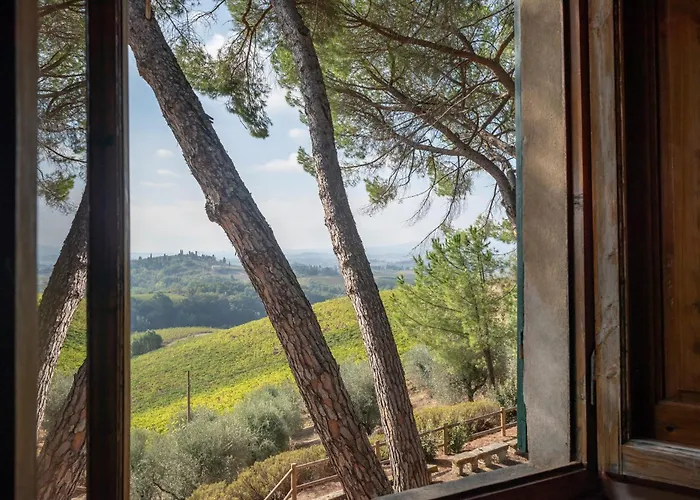 Bio Fattoria Bacio * Certaldo